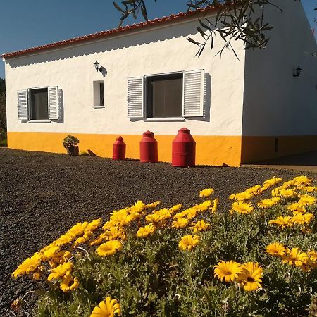 Monte Quinta Verde Ferreira Do Alentejo Exterior photo